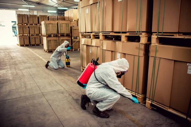 Best Affordable Pest Control Services  in West St Paul, MN