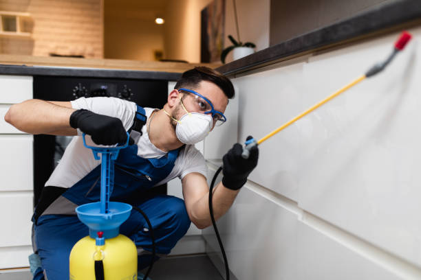 Wasp Removal Services in West St Paul, MN