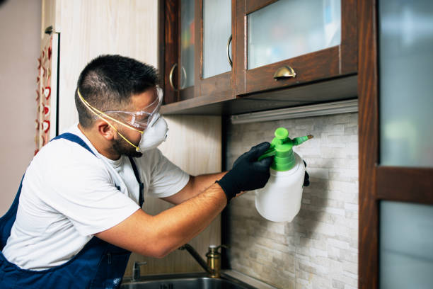 Best Best Pest Control Companies  in West St Paul, MN