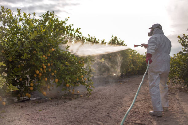 Best Pest Inspection Near Me  in West St Paul, MN