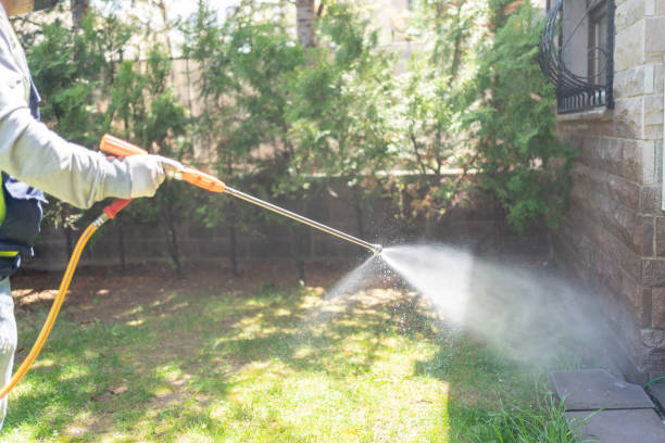 Trusted West St Paul, MN Pest Control Experts